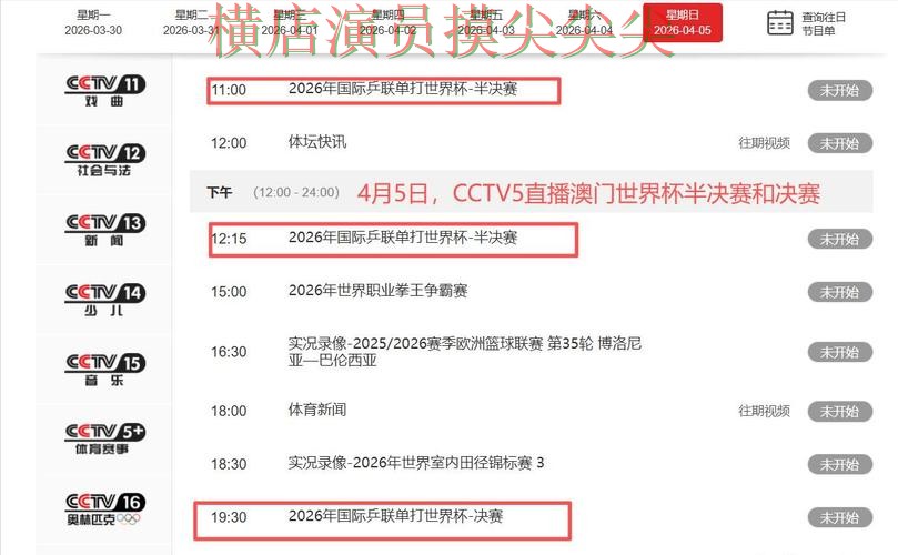 世界杯高清直播来临，世界杯投注平台稳定性评测+直播与平台选择汇总